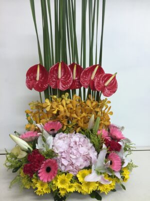 編號:C0010----紫繡球姻緣盆花